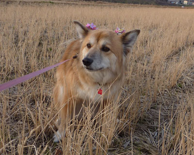 �����Əo��񂾂�