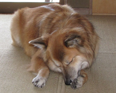 ���͂��������_�炩��