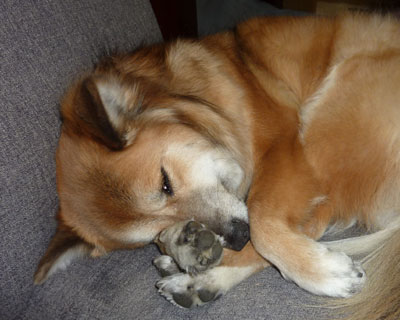 �w�����ꂪ�Ȃ��Ƃ�