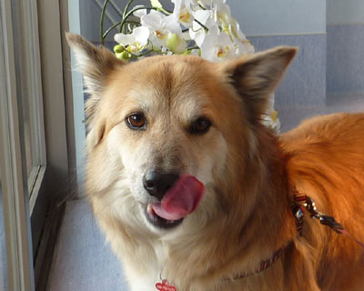 �ł����o�E���h�������߂�����