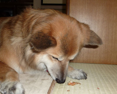 �C������ŗ��Ԑ����E���H������