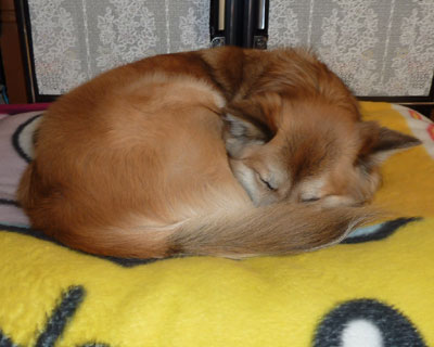 �����ۂ͂Ȃɂ��ƕ֗�