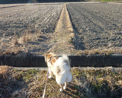 �r�r�肶��Ȃ���畏�����