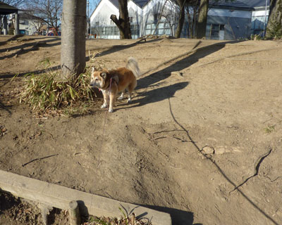 �l�������Ă邾������