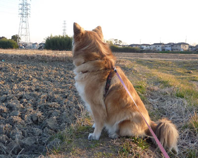 �O�ɖi�����Ă��킩�����񂾂�