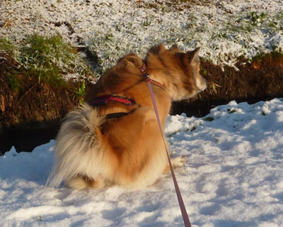 ����L�O�̃`�[