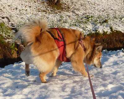 �`�[�Ղ�����