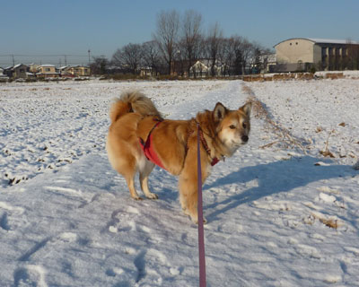 �����Ɩ��܂肽��