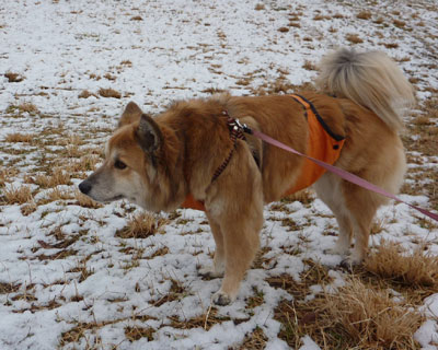 ��ᒍ�ӕ�ɂ��܂��ꂽ��