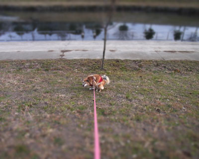 ���������ĐV�����J�����H