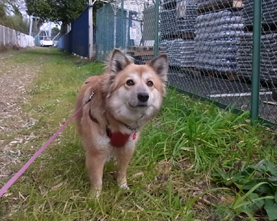 ���H���̂Q���ŏI���H