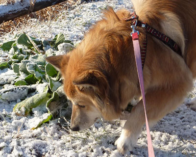 �܂��~�������ǁA����ɂ���ڂ�����