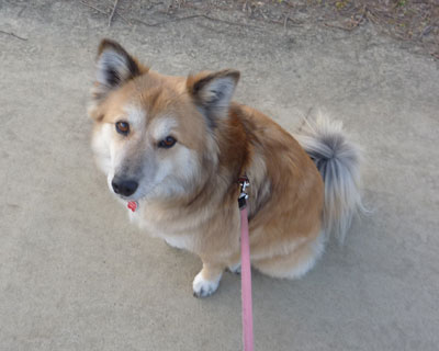 ������ق����Ƃ���܂�