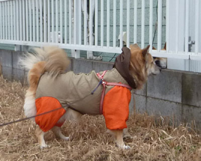 ���Ԃ�񂿂��Ƃ͏��Ζʂ��璇�ǂ�