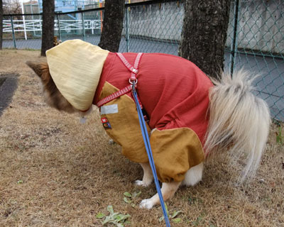 �w���̊p�x�͌��ɂ���ĈႤ�炵��