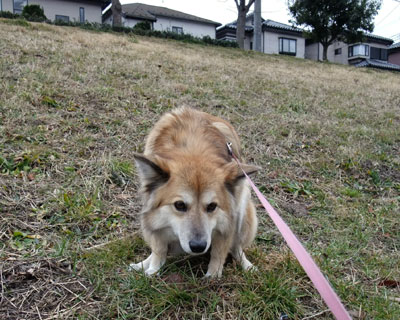 ���o���Ă��邱�Ƃ�����