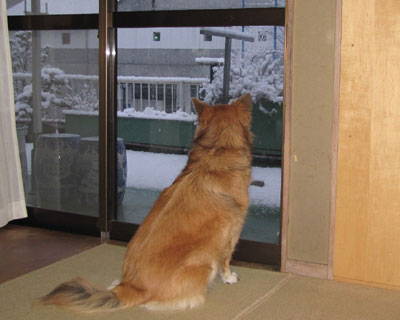 �Ⴞ��A�U������