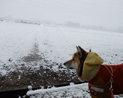 ���C�܂�܂�