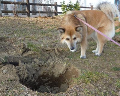 ��������������̂Ŗڈ��t���悤