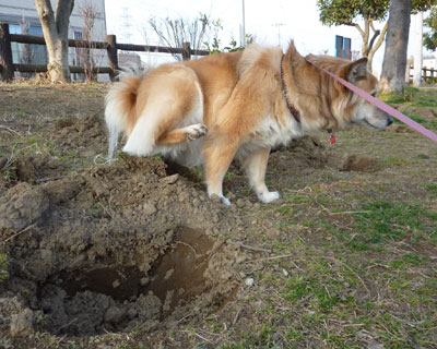 ���X�Ȃ̂ɑ����オ��