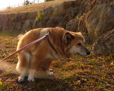 �Ԉ���ė[�Ă����[�h�ɂ����炱��Ȃ��Ƃ�