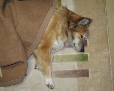 �����܂ł��Ă���Ȃ��Ă�������