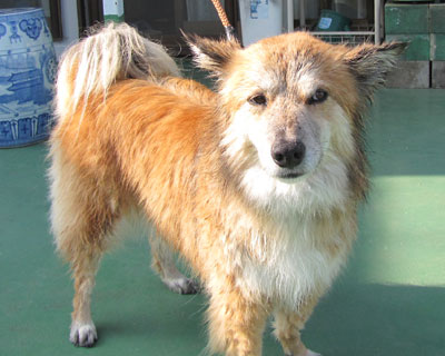 �@���������Ȃ���