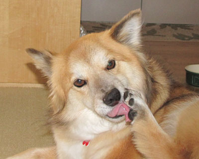 �������䂢