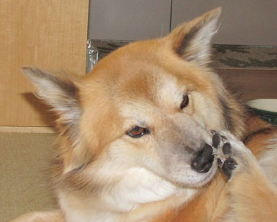 �ɂ������m���߂�