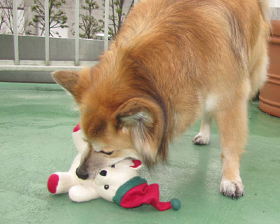 �O�ɂ��A��o��