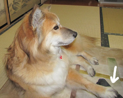 �l�̑��ɂ����������