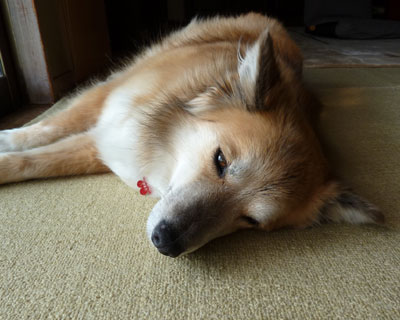 �Ȃ�Ŏʐ^�B���Ă�́H