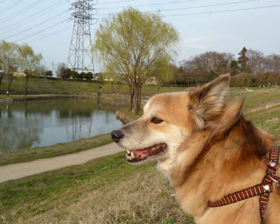 ���i�M�����ꂢ�ɂȂ��Ă���