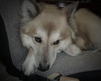 �܂��s���z�[������