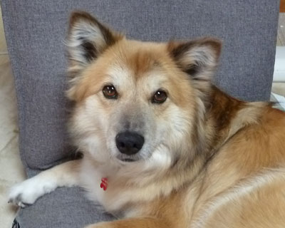 �߂����ɂȂ��J�����ڐ�