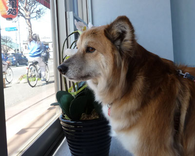 �܂��K���i��ꂽ