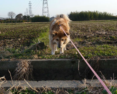 �ǂ����Ă��^�C�~���O������Ȃ�