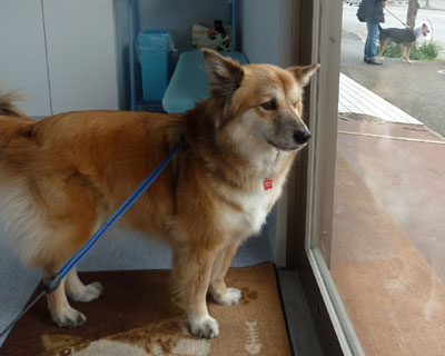 �O�ɑ҂��Ă�q�����邵�A�����A�낤��