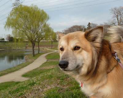 �t�͂܂Ԃ�����