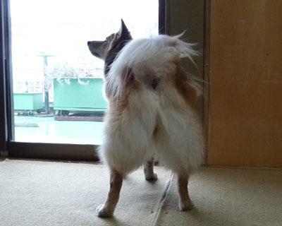 �����A�J���Ȃ���