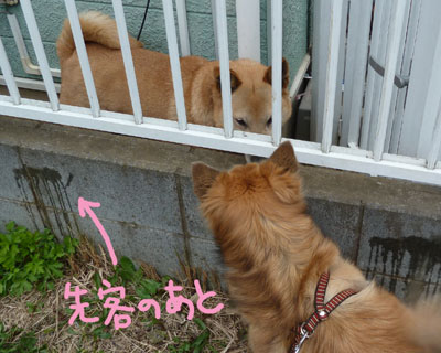 ���Ԃ�񂿂��ƈ��A