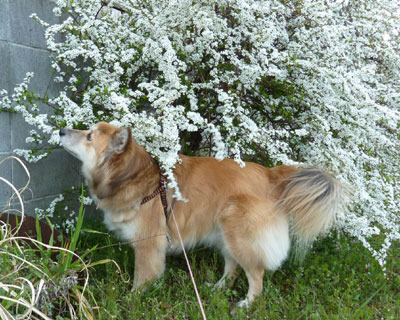 ���L���i�M�Ǝ�