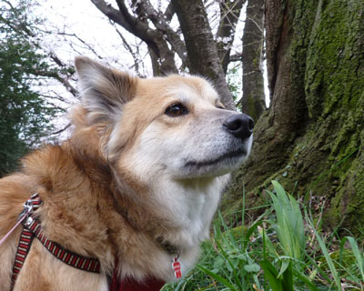 ���̌����͋��