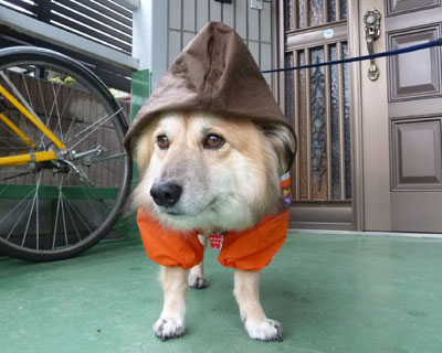 ���̃J�b�p�͓��Ɍ����Ȃ񂾂�