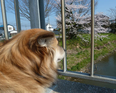 ���̋���n��Ƃ������Ƃ͂��̌�����