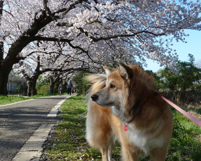 �����Ȃ̂ɐl��������