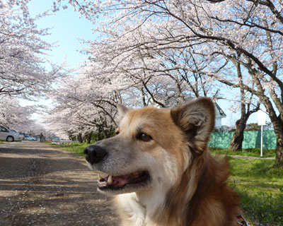 �񂾂��̎ʐ^��������