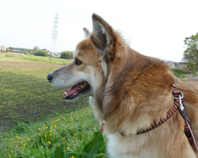 �y��̏�����������Ă�����