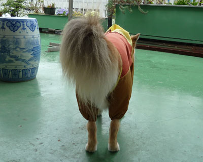 �J�b�p�ł����܂���