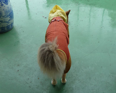 �����ۂ̊p�x�܂ł����܂���